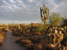 photo thumbnail #1