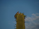 photo thumbnail #3