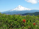photo thumbnail #10