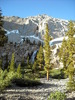 photo thumbnail #11
