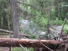photo thumbnail #2