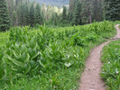 photo thumbnail #10