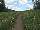 photo thumbnail #12