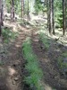 photo thumbnail #6