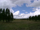photo thumbnail #9