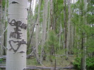 photo thumbnail #10
