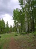 photo thumbnail #12
