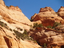 photo thumbnail #11