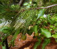 photo thumbnail #7