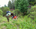 photo thumbnail #11