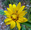 photo thumbnail #12
