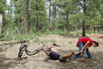 photo thumbnail #8