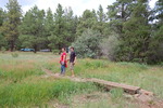 photo thumbnail #12