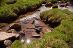 photo thumbnail #13