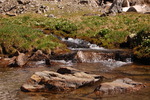 photo thumbnail #14