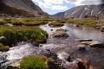 photo thumbnail #15