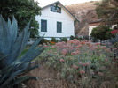photo thumbnail #9
