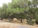photo thumbnail #10