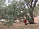 photo thumbnail #13