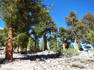 photo thumbnail #8