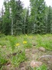 photo thumbnail #2