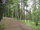 photo thumbnail #6