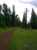 photo thumbnail #8