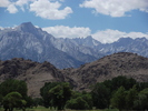 recent photo