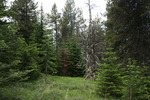 photo thumbnail #12