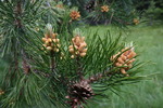 photo thumbnail #13