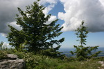 photo thumbnail #14
