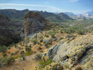 photo thumbnail #9