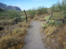 photo thumbnail #12