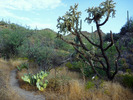 photo thumbnail #14
