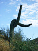 photo thumbnail #15