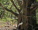photo thumbnail #11