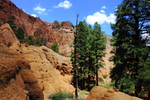 photo thumbnail #3