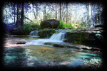 photo thumbnail #1