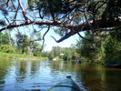 photo thumbnail #7