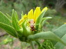 photo thumbnail #8