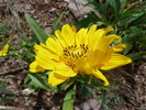 photo thumbnail #12