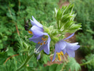 photo thumbnail #13
