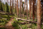 photo thumbnail #11
