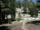photo thumbnail #6