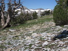 photo thumbnail #8