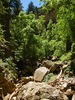 photo thumbnail #4