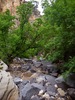 photo thumbnail #11