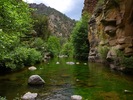 photo thumbnail #15