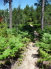 photo thumbnail #9
