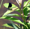 photo thumbnail #11